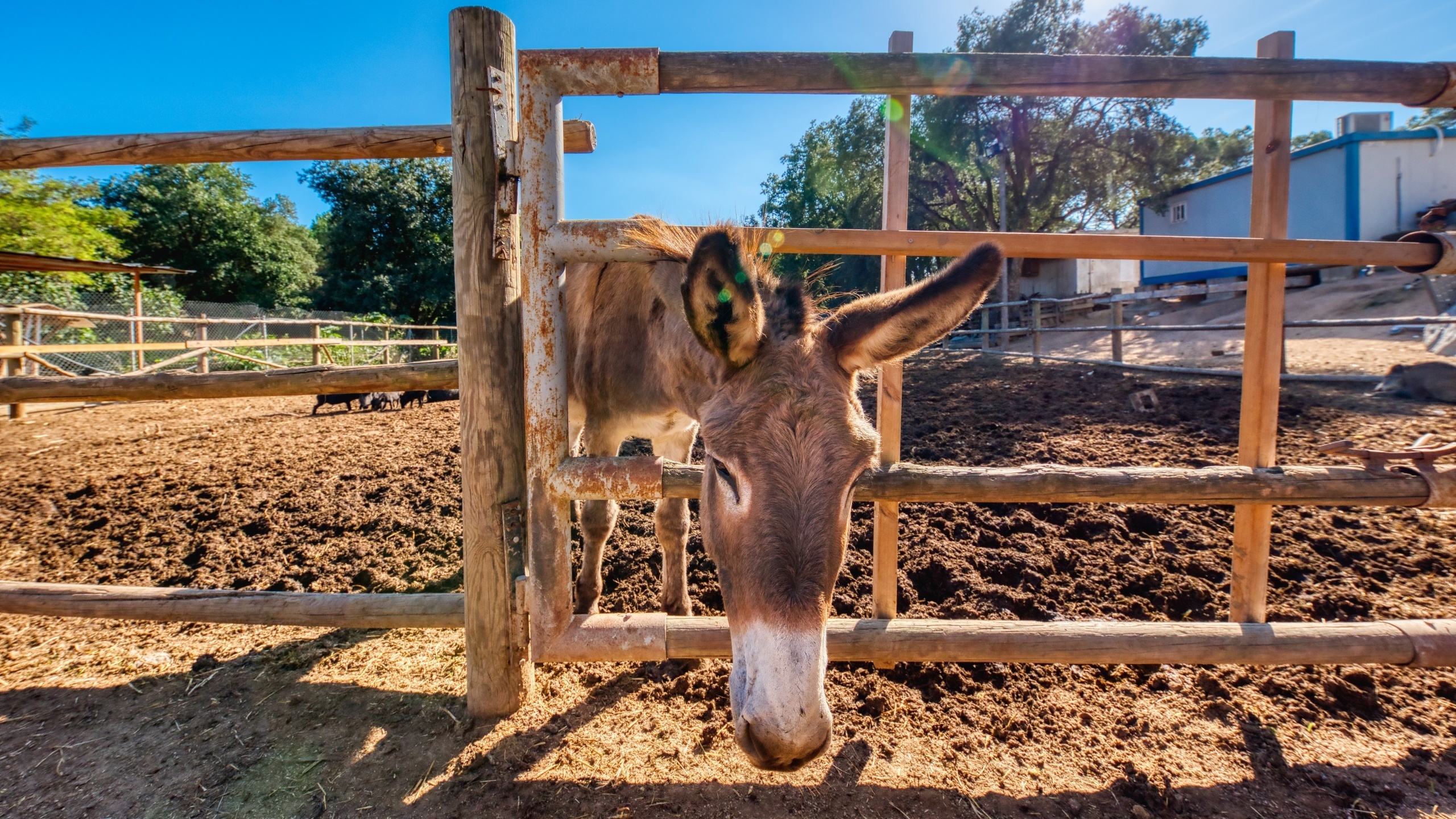 Ferienhäuser Costa Brava Countryside Spanien - Villa Can Bernardi - Garten