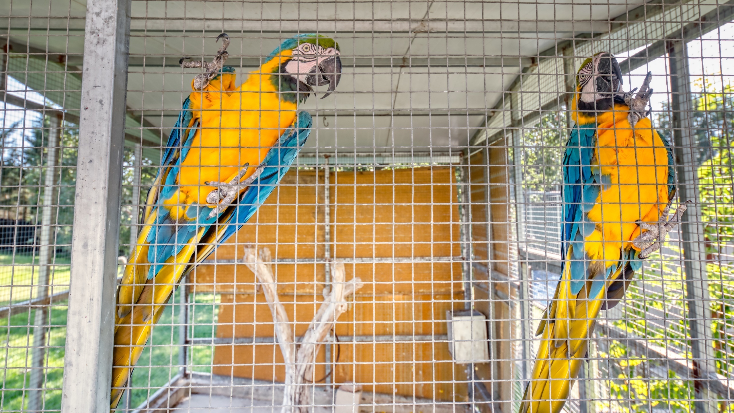 Ferienhäuser Costa Brava Countryside Spanien - Villa Can Bernardi - Garten